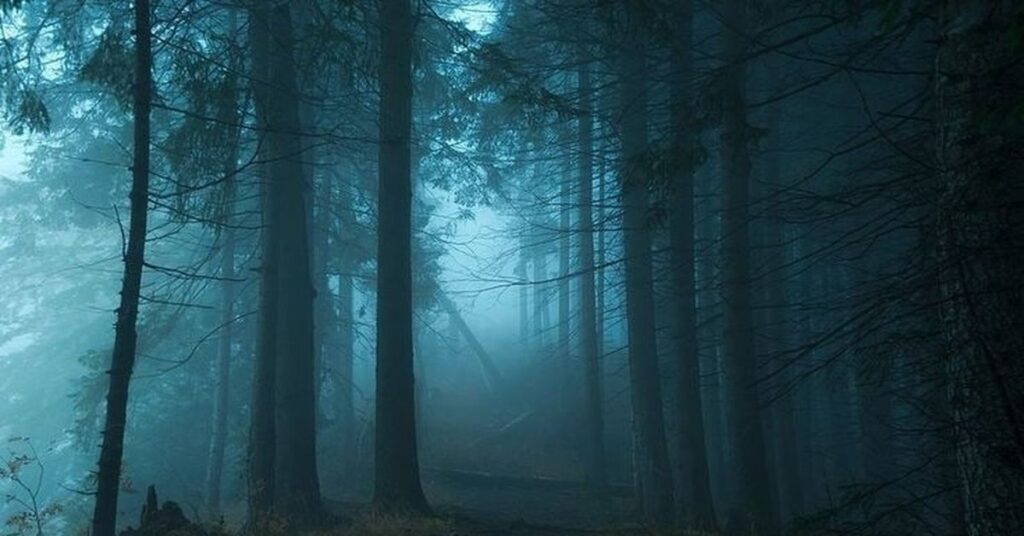 
best-fog-captions